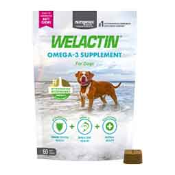 Welactin Omega-3 Supplement Soft Chews for Dogs Nutramax Laboratories